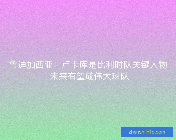 鲁迪加西亚：卢卡库是比利时队关键人物 未来有望成伟大球队